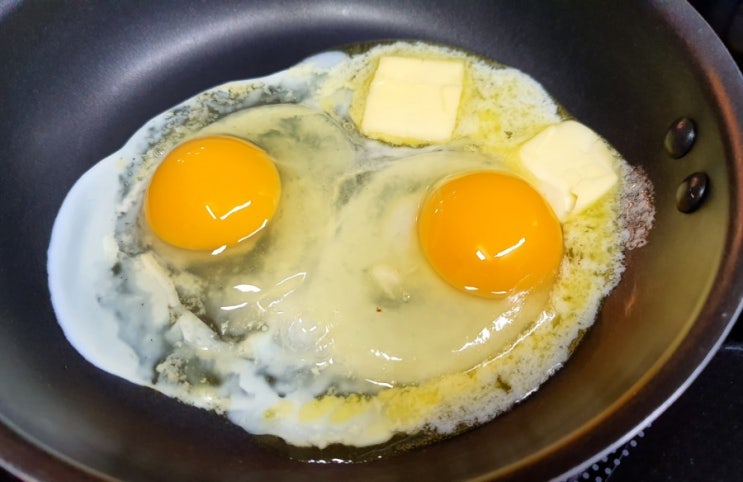 계란단식방법, 규칙? 저탄고지 에그패스팅(egg fasting) 1일차 후기 : 네이버 블로그