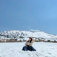 [5월 혼자 삿포로 여행/홋카이도 여행] 비에이 후라노 일일투어 - 흰수염 폭포, 도카치다케 전망대, 청의 호수