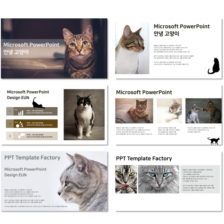 [PPT템플릿공장] 무료 파워포인트 템플릿 사랑스러운 고양이 PPT Template Cat : 네이버 블로그