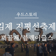가을 축제/김제 벽골제 지평선축제 다녀오기/블랙이글스공연