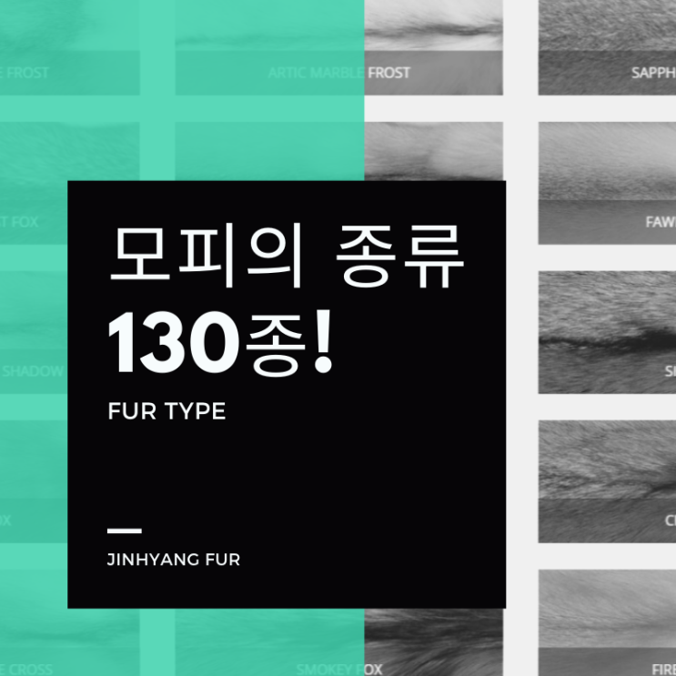모피의 종류 130종 : 네이버 블로그