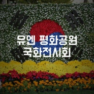 부산 유엔(UN)기념공원, 평화공원 국화전시회