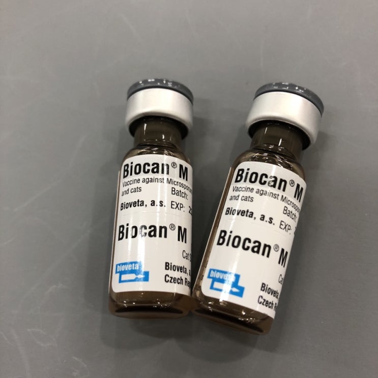 개 고양이 곰팡이 백신 비오칸 엠, 비오칸 M, Biocan M, 파주 문산 운정 일산 덕이동 탄현 교하 광탄 법원 적성 양주 ...