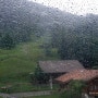 스위스 여행. 비오는 날의 그린델발트 피르스트 하이킹. 비가 와서 더 좋았던 걸까?