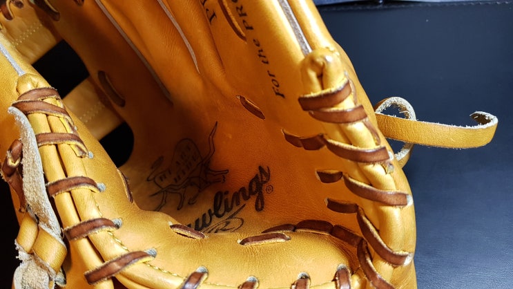 [야구글러브] Rawlings TT2 패턴 리뷰 -롤링스 글러브의 이단아..? : 네이버 블로그