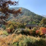 [국내여행] 경북 문경가볼만한곳 - 문경새재 도립공원 & 오픈 세트장 (지난 사과축제까지)