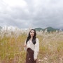 부산 근교 가을 나들이 매년 오는 억새명소 양산 물금 황산공원