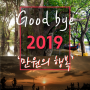 굿바이 2019 만원의 행복.한해의 마무리는 캄보디아 톤레삽에서