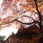 가을로 가고있는 남한산성 _19.10.27