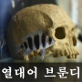 열대어 프론토사 브룬디 어항 속 아가들 그리고 대형어 징기스칸!