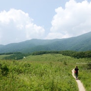오대산 국립공원 : 진고개 탐방지원센터 - 노인봉 산행