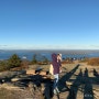 [미국동부단풍놀이] Day 1. 아카디아국립공원 | Acadia National Park
