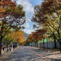35개월아이와 가을나들이가기좋은곳 [서울어린이대공원]날씨가다함