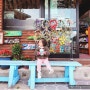 부산여행코스 감천문화마을, 3살 딸이랑 아빠랑 데이트하기^^