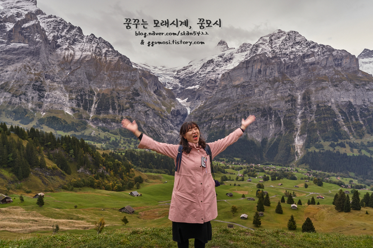 스위스 인터라켄 자유여행) 피르스트 보르트/First Bort 하이킹+그린델....