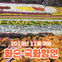 2019년 전남11월축제 화순 국화향연