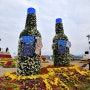 마산 여행 : 가을을 상징하는 국화꽃 너를 만나기 위해서 희망이가 달려 간 마산 국화축제 시원하게 공개!