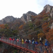 (산행)대둔산. 용문골~칠성봉전망대~금강구름다리~삼선계단~마천대(정상)~군지능선~군지구름다리~수락폭포~선녀폭포~수락리마을(2019년 11월 2일)