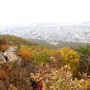 대모산, 구룡산 단풍 등산(수서역에서 양재시민의 숲까지, 서울둘레길코스)