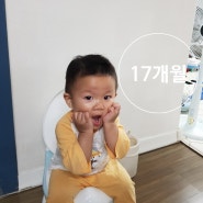 16개월아기 지한이의 성장일기 (생후17개월되는날까지)
