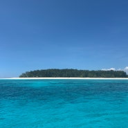 잔지바르 음넴바(Mnemba Island) 투어