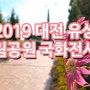 2019 유성 국화전시회(대전 유성 유림공원 국화축제)