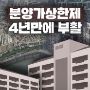 분양가상한제 첫 지역은 서울 27개동…압구정·반포·잠실 등