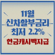 11월 신차할부 금리 최저 2.2%!