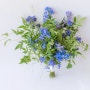 여름 파란 델피늄 부케 <앙코르 스튜디오> 서산 꽃집 촬영용 부케