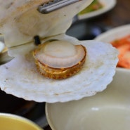 16호 원조할머니손칼국수 대부도 칼국수 맛집 좋아