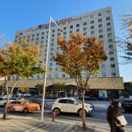 호텔 라마다 서울 강남 삼성동 숙박 넓은 주차장 고급가운 깨끗한 곳