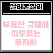 [지식산업센터] 동탄 실리콘앨리 - 부동산 규제로부터 자유로운 곳!