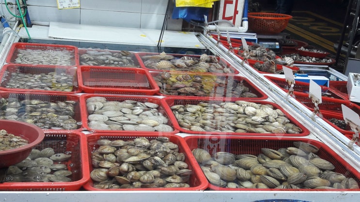 [고현시장볼거리] 꼭 들려야할 해산물맛집~캉캉해물 : 네이버 블로그