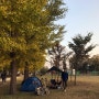 【 No. 128 Camping 】 노랑 + 초록 강천섬
