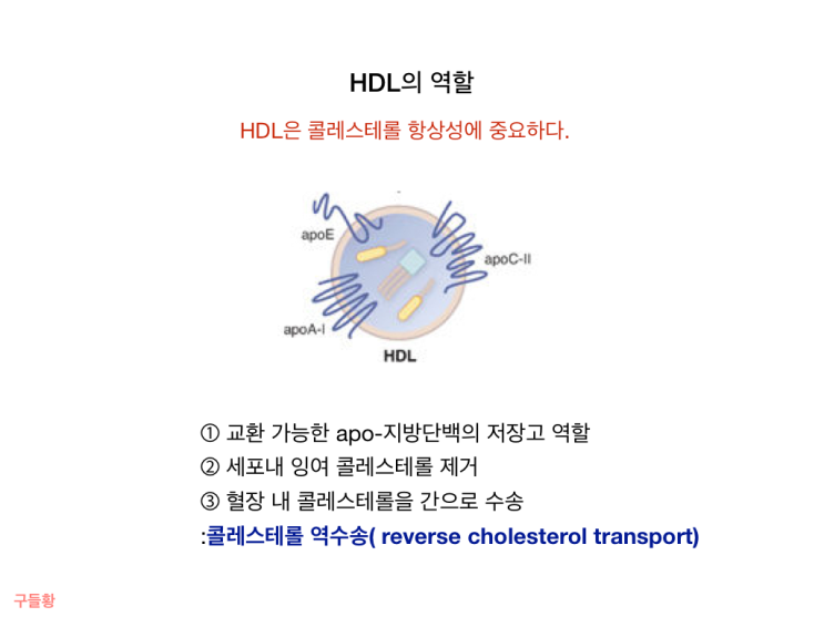 20-2.HDL 대사 및 콜레스테롤 역수송 : 네이버 블로그