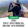 [현장] 한라산- 송악산 올레길 걷는 힐링 여행 '2019 서울시민 제주트레킹'