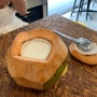 [코타키나발루] 코코넛카페 <가야코코넛> 셰이크, 푸딩 추천!
