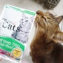 고양이 스프간식 / 고양이 파우치간식 :: 더캣츠 스프