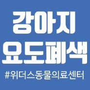 강아지 요도폐색