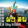 독산해변 쭈꾸미 실전 꿀팁 공개