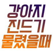 강아지 진드기 물렸을때 증상과 제거, 퇴치제, 약은?