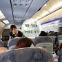 대만 가오슝 여행 시작! 에바항공 가오슝 탑승 후기
