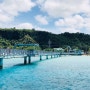 [괌]씨워크&스노쿨링&카누, 돌핀선셋크루즈, 호핑투어, 사랑의 절벽!!