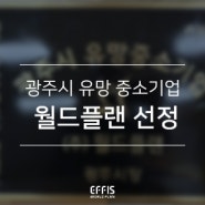 [Effis] 광주시 유망 중소기업 선정되다!
