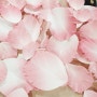 불가리 향수 디스플레이 꽃잎 제작, 주름지 꽃, 에바폼꽃, 종이꽃, 조화공예(아트플라워)꽃, 조화 제작