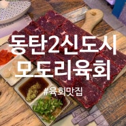 동탄육회 : 모도리육회 동탄점 신선하고 맛있는 육사시미+뭉티기 먹방
