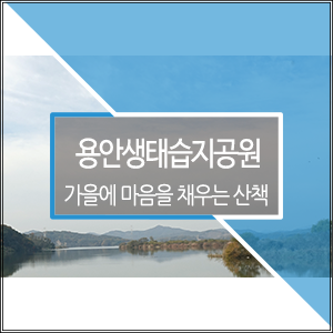 가을에 마음을 채우는 산책, 익산 용안생태습지공원