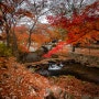 선운사, 도솔천의 단풍과 #별궤적.