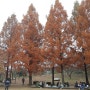 가을의 끝자락 진주 반성 수목원