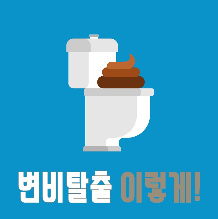 변비직빵 어렵지 않게! 변비탈출 방법은? : 네이버 블로그